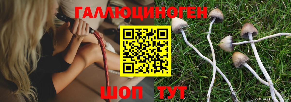 Галлюциногенные грибы Psilocybine cubensis  Вход с VPN  купить закладку  Благовещенск  Галлюциногенные грибы Psilocybe 